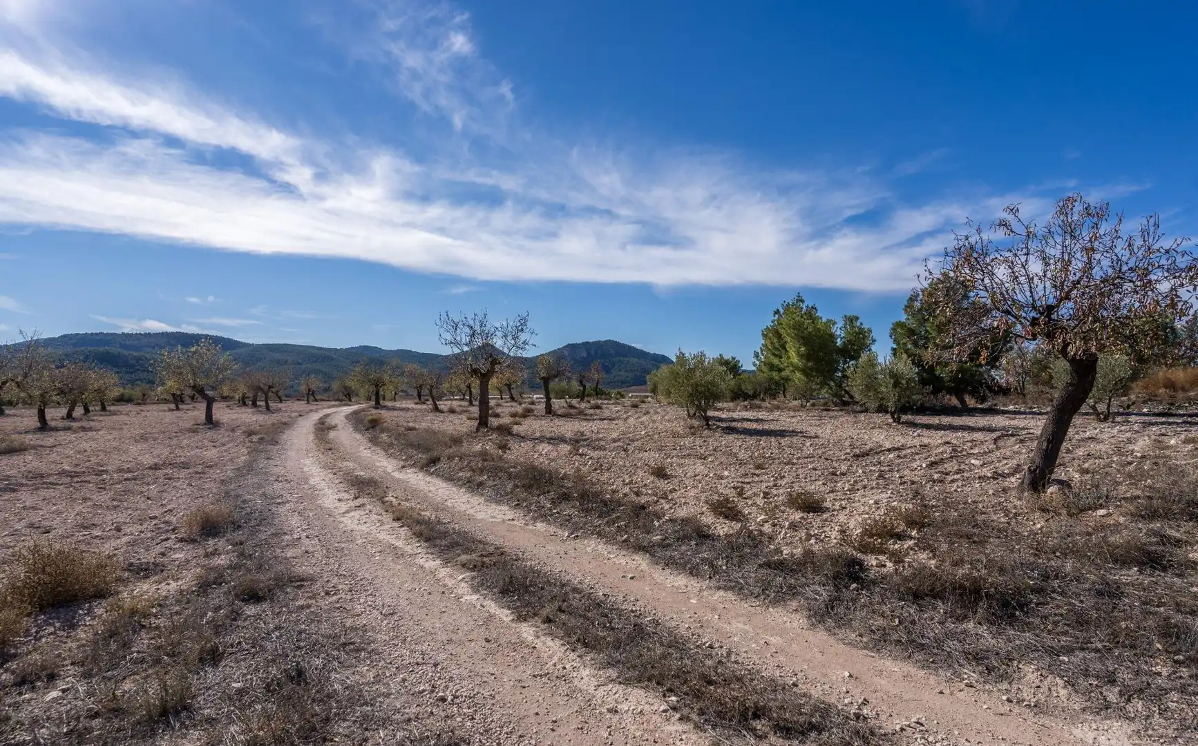 Finca rústica en venta en Vélez-Rubio con Calefacción, Jardín privado y Trastero