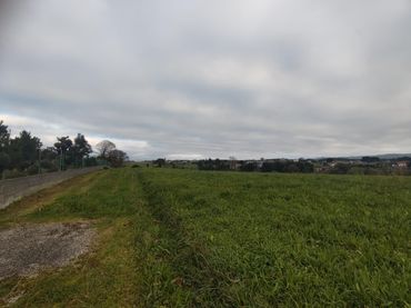 Terrenos y solares en venta en Polígono 4 Parcela 520 CP LA MARINA TAPIA DE CAS