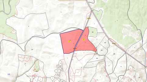 Solvia Inmobiliaria  Suelo Rústico Niebla, immagine 2