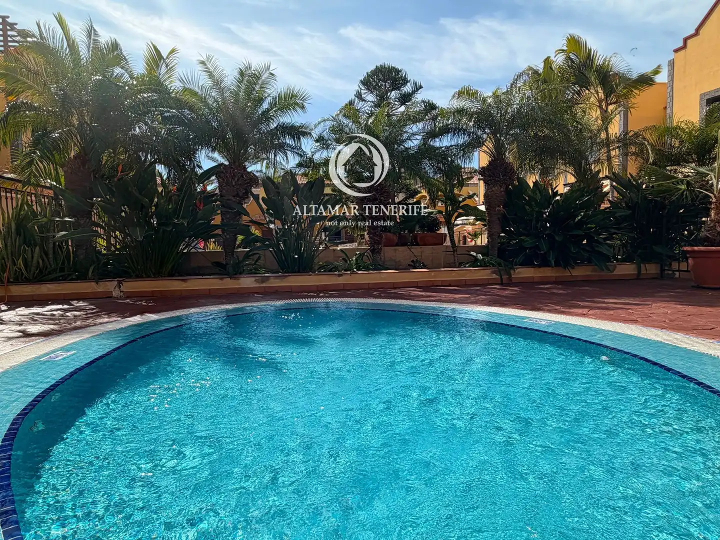 Apartamento de alquiler en Roques del Salmor, 12, Playa del Duque