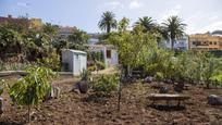 Jardí de Casa o xalet en venda en El Sauzal