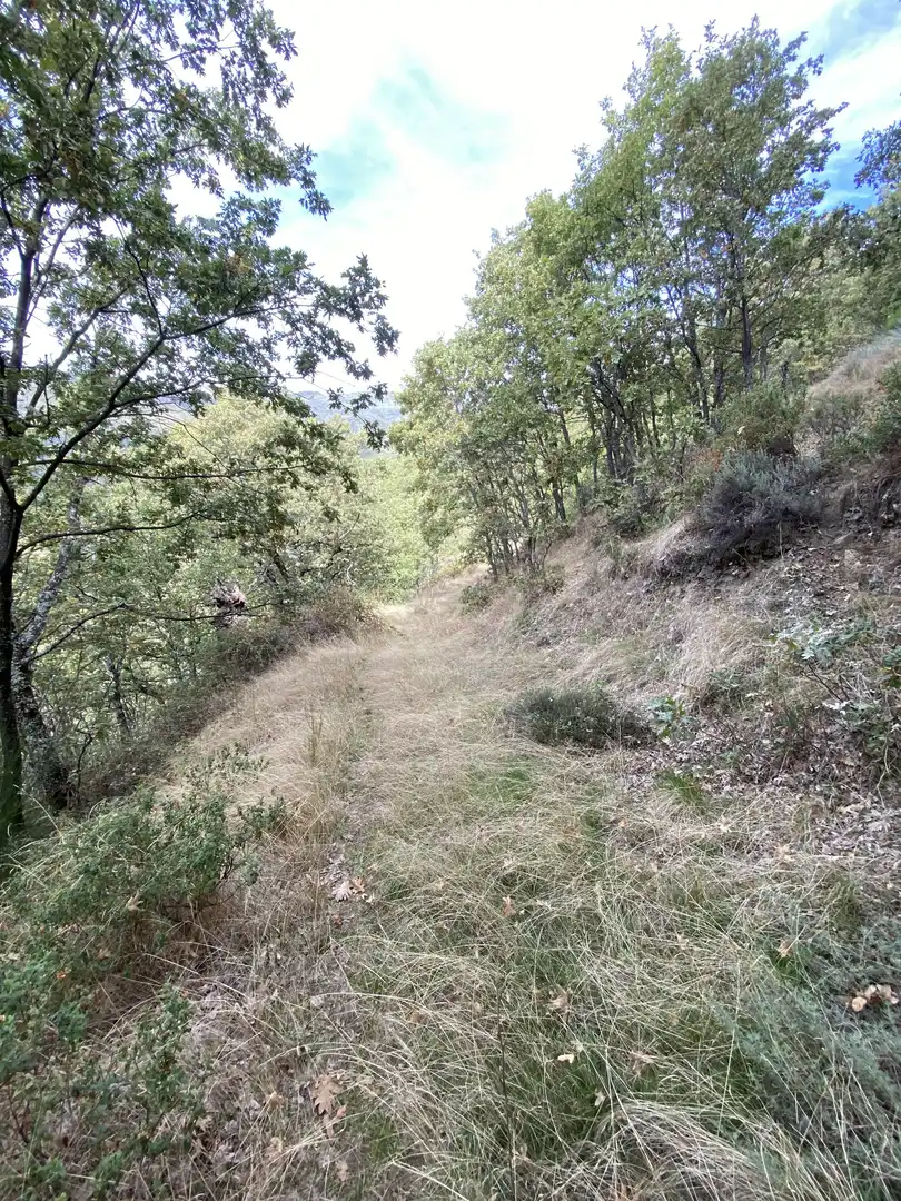 Terreno en venta en Tornavacas