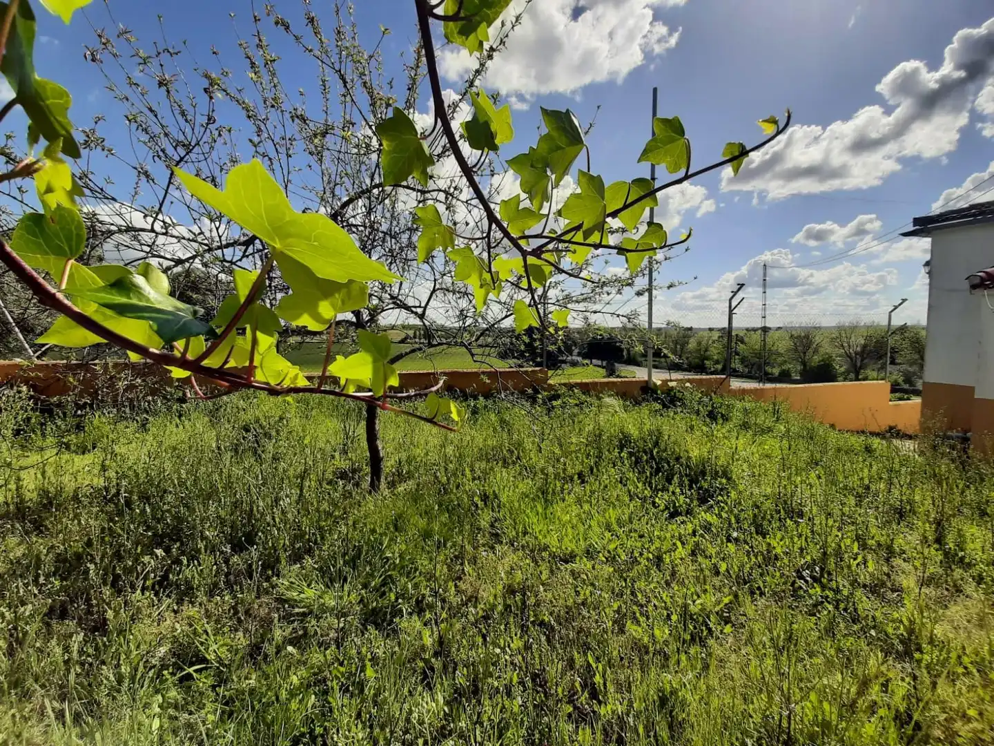 Houses for sale in Ceclavín  with Air Conditioner, Heating and Private garden