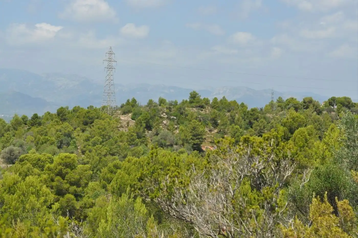 Land for sale in Camí del Barranc de la Llet, 26, Sant Llàtzer