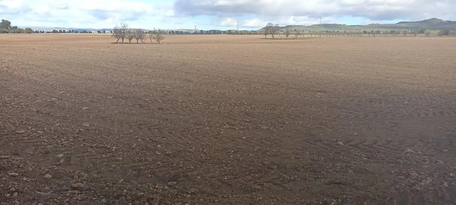 Terreny rústic en venda a Ayora, imagen 9