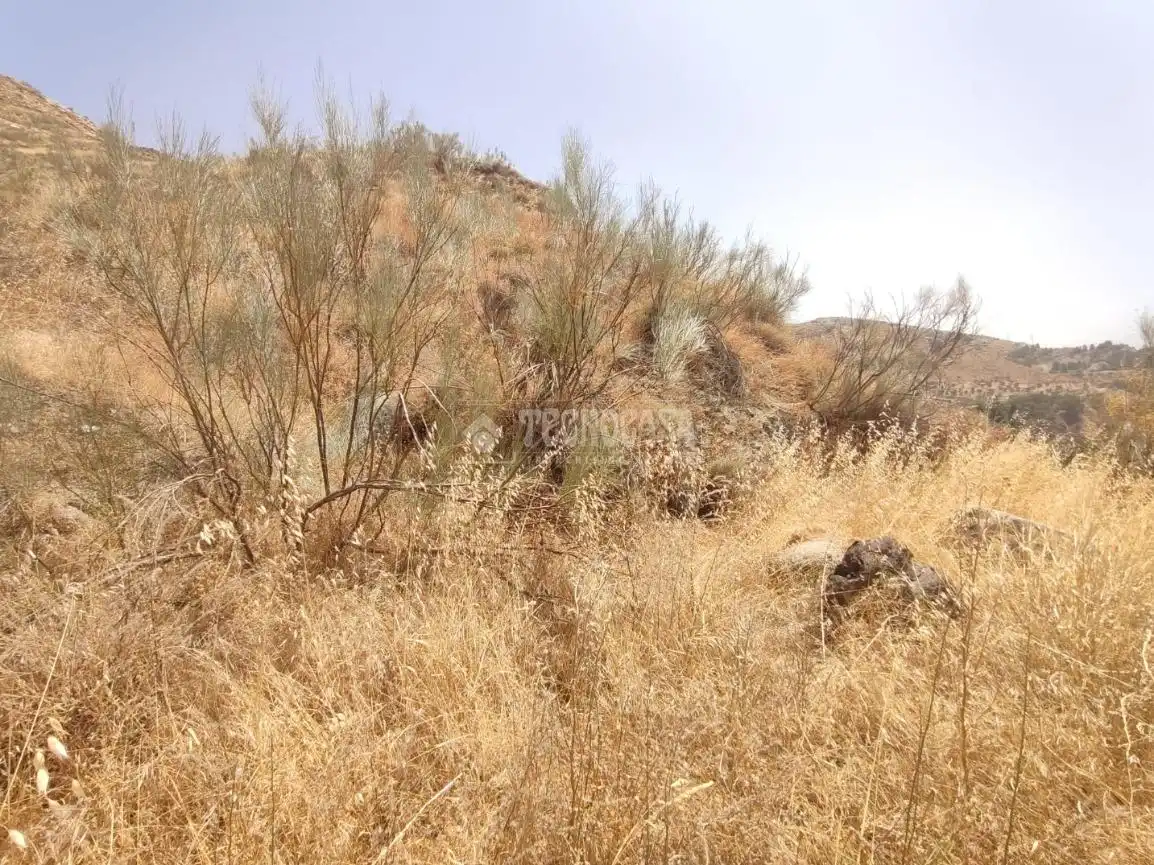 Rustikales Grundstück zum Verkauf in Pinos Genil, imagen 3