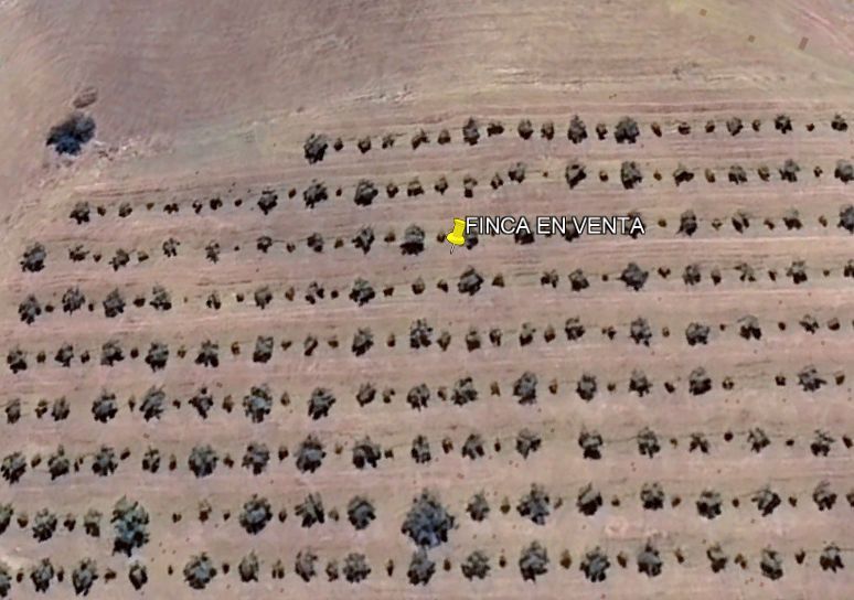 Land for sale in El Borge