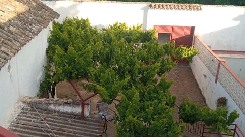 Foto 4 de Finca rústica en venda a Carretera de Nueva Carteya, Montilla, Córdoba
