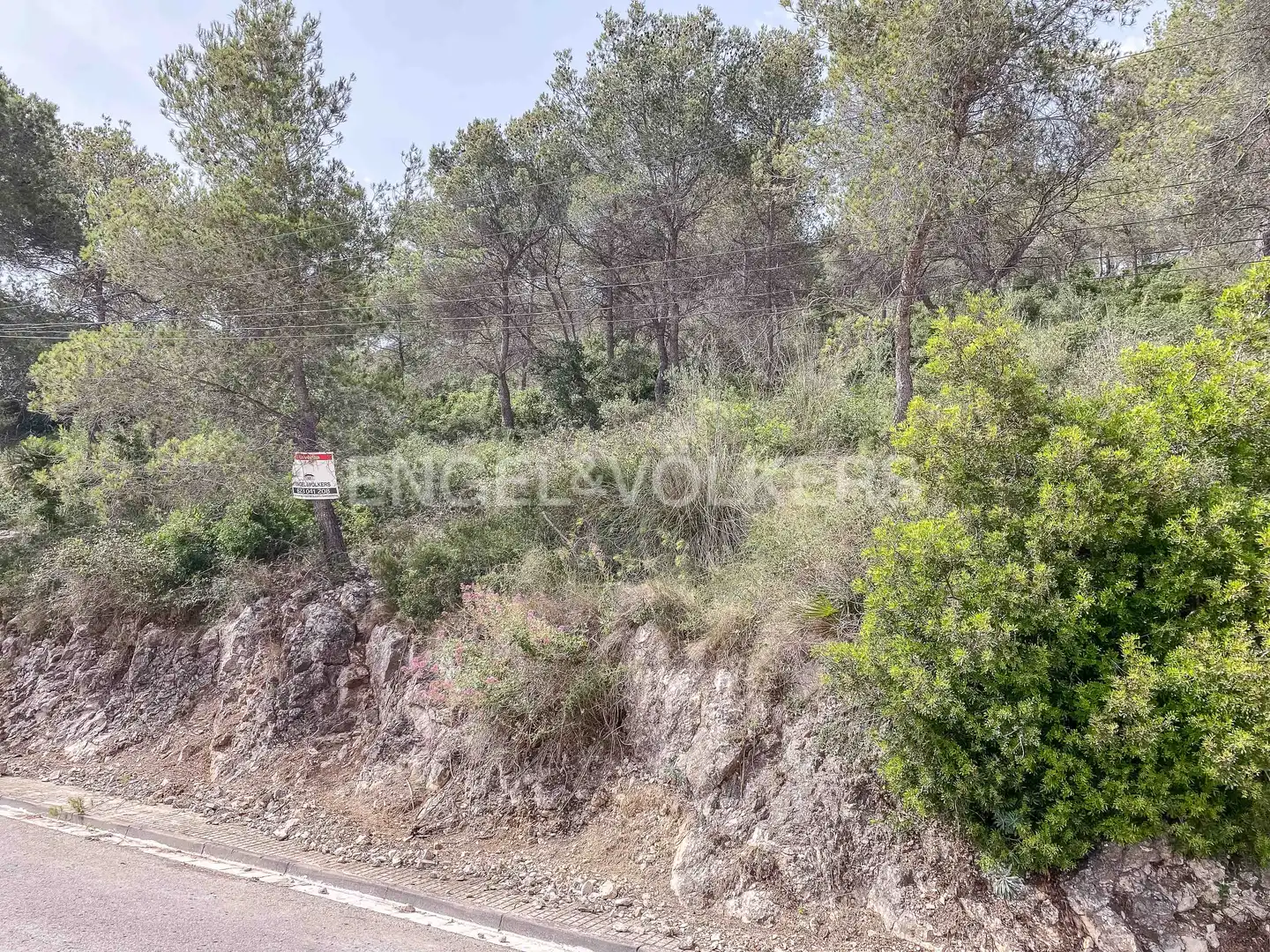 Terreno residencial en venta en Canyelles, imagen 7