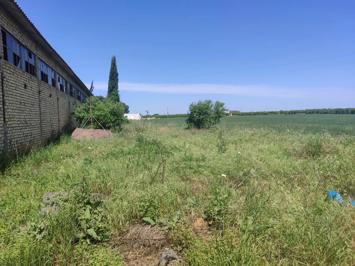 Nave industrial en venta en Utrera