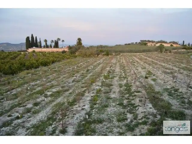 Terreny rústic en venda a Llanera de Ranes, imagen 5