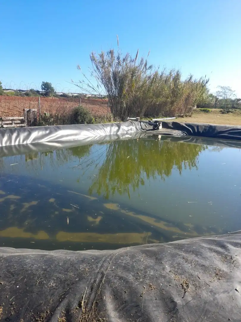 Maison avec piscine à vendre à Lepe