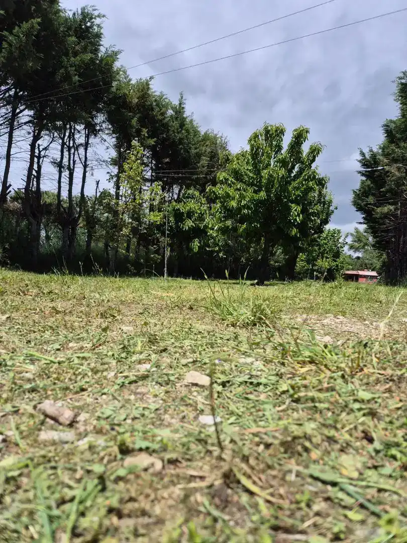 Finca rústica en venda en Cardeñajimeno