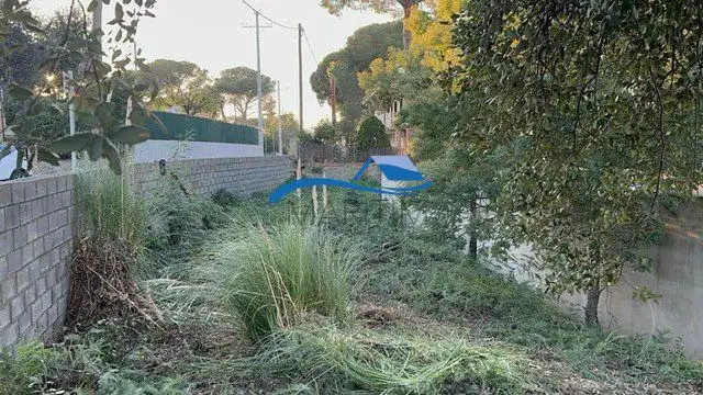 Terrenos y solares en venta en Sensitiva, imagen 5