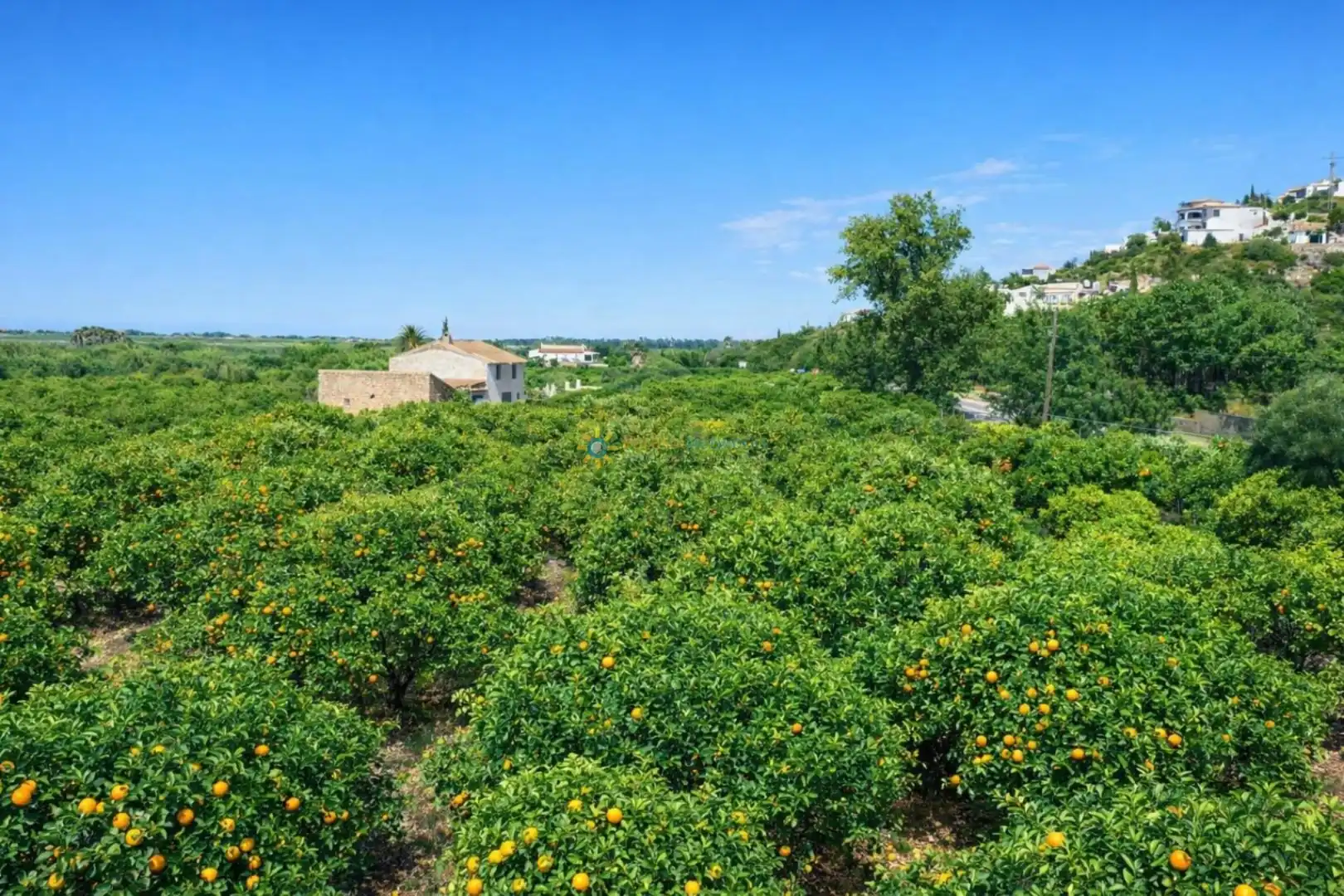 Finca rústica en venta en Pego con Jardín privado, Terraza y Trastero