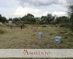 Industrial land for sale in Paracuellos de Jarama