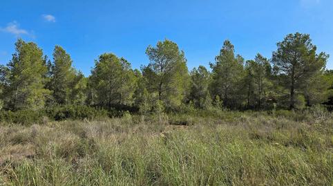 Foto 2 de Residencial en venda a Calle de la Tasca, 207, Sant Jordi d'Alfama, Tarragona