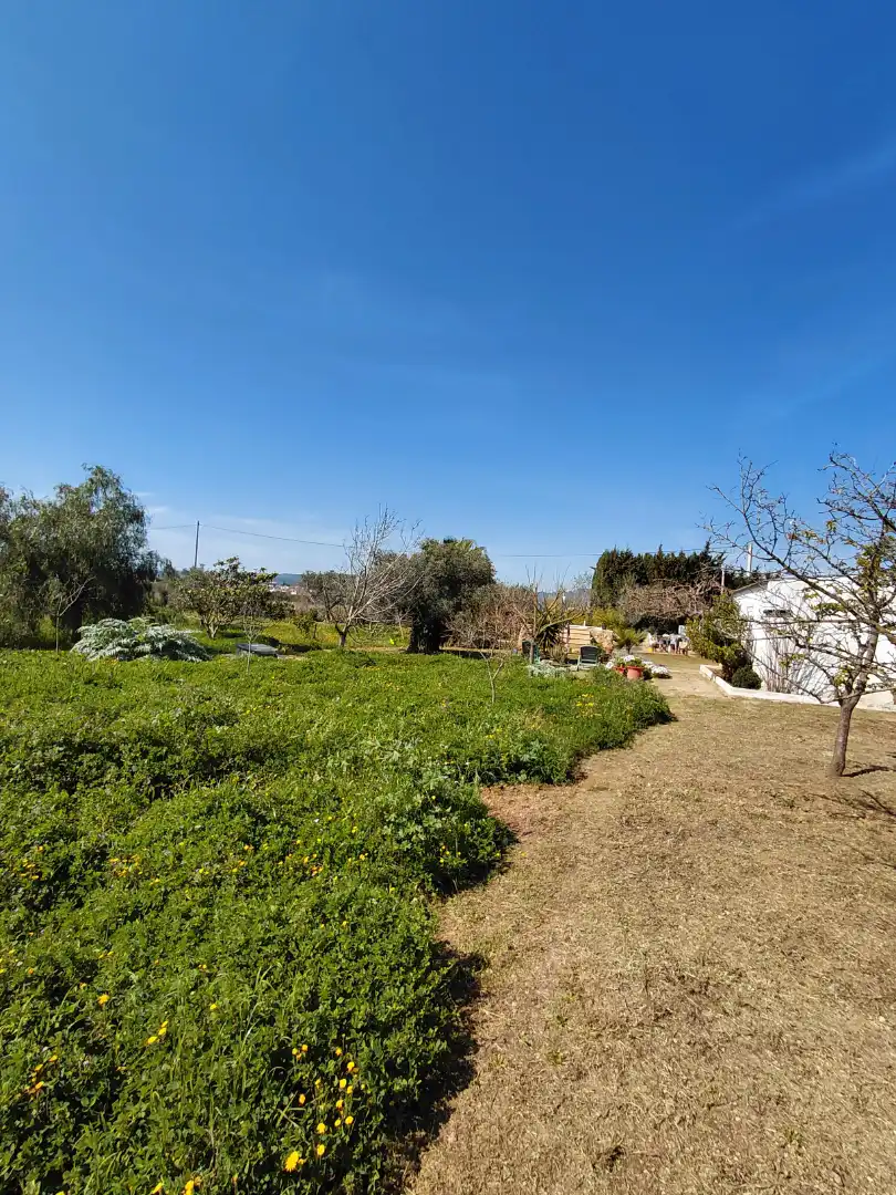 Terreno rústico en venta en Banyeres del Penedès, imagen 9