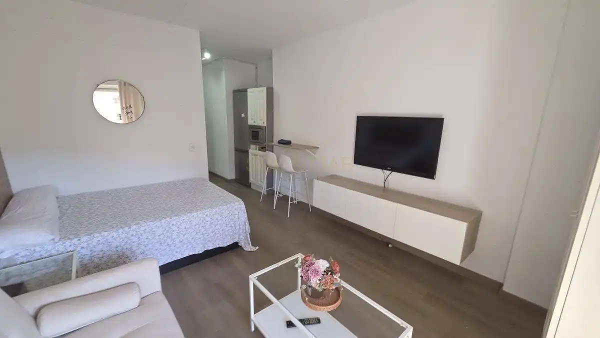 Estudi amb terrassa de lloguer a Centro, imagen 25