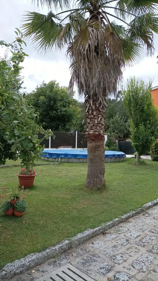 Xalet amb terrassa en venda a Camino Camino de la Regueira, imagen 4