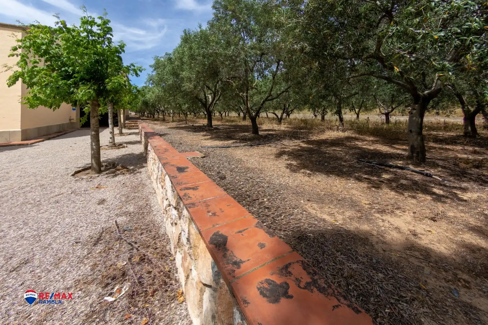 Garden of Houses for sale in Valls