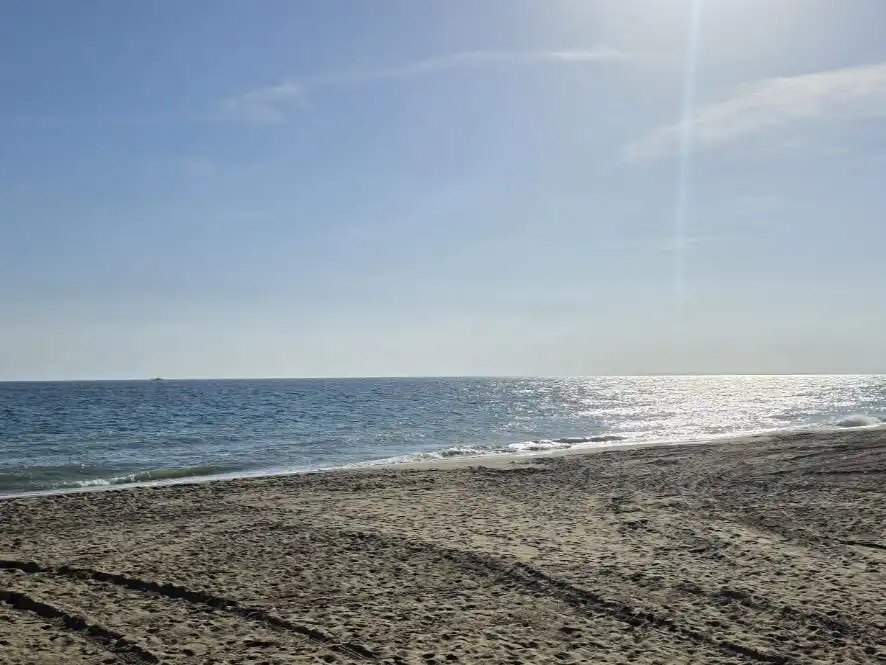 Vista exterior de Casa o xalet de lloguer en Rïo Real - Los Monteros