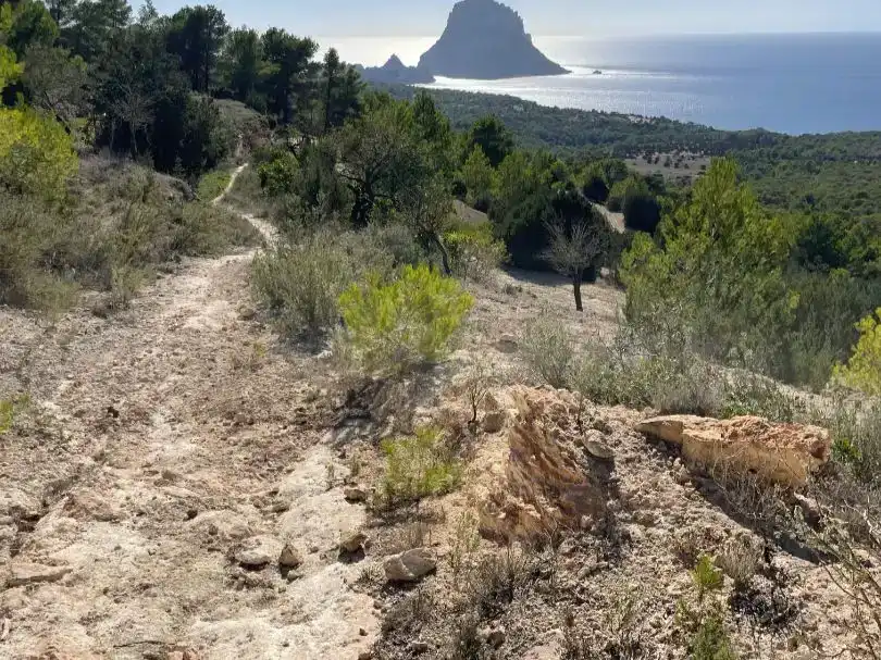 Finca rústica en venda en Sant Josep de sa Talaia