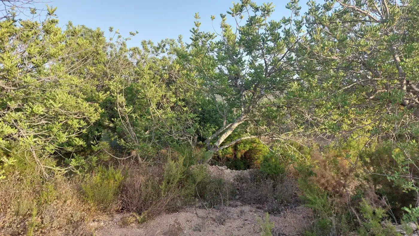 Terreno rustico in vendita a El Perelló, imagen 17
