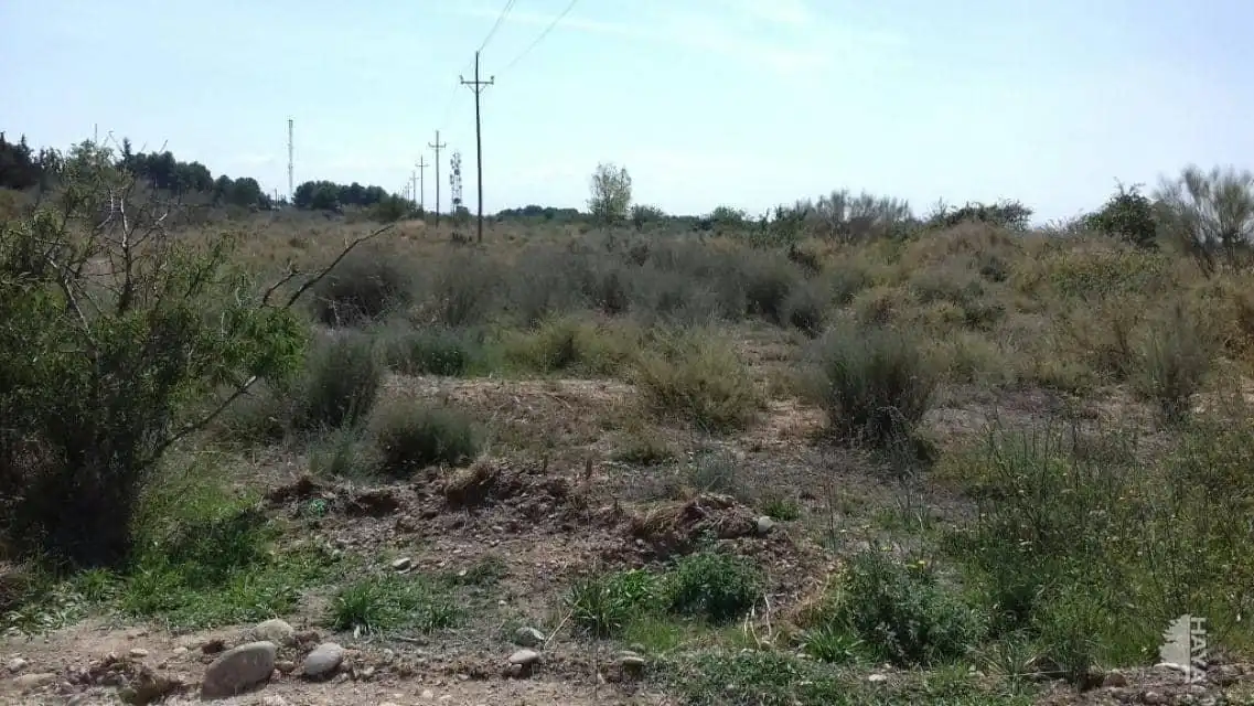 Terrenos y solares en venta en Partida Pla de la Cerdera, imagen 4