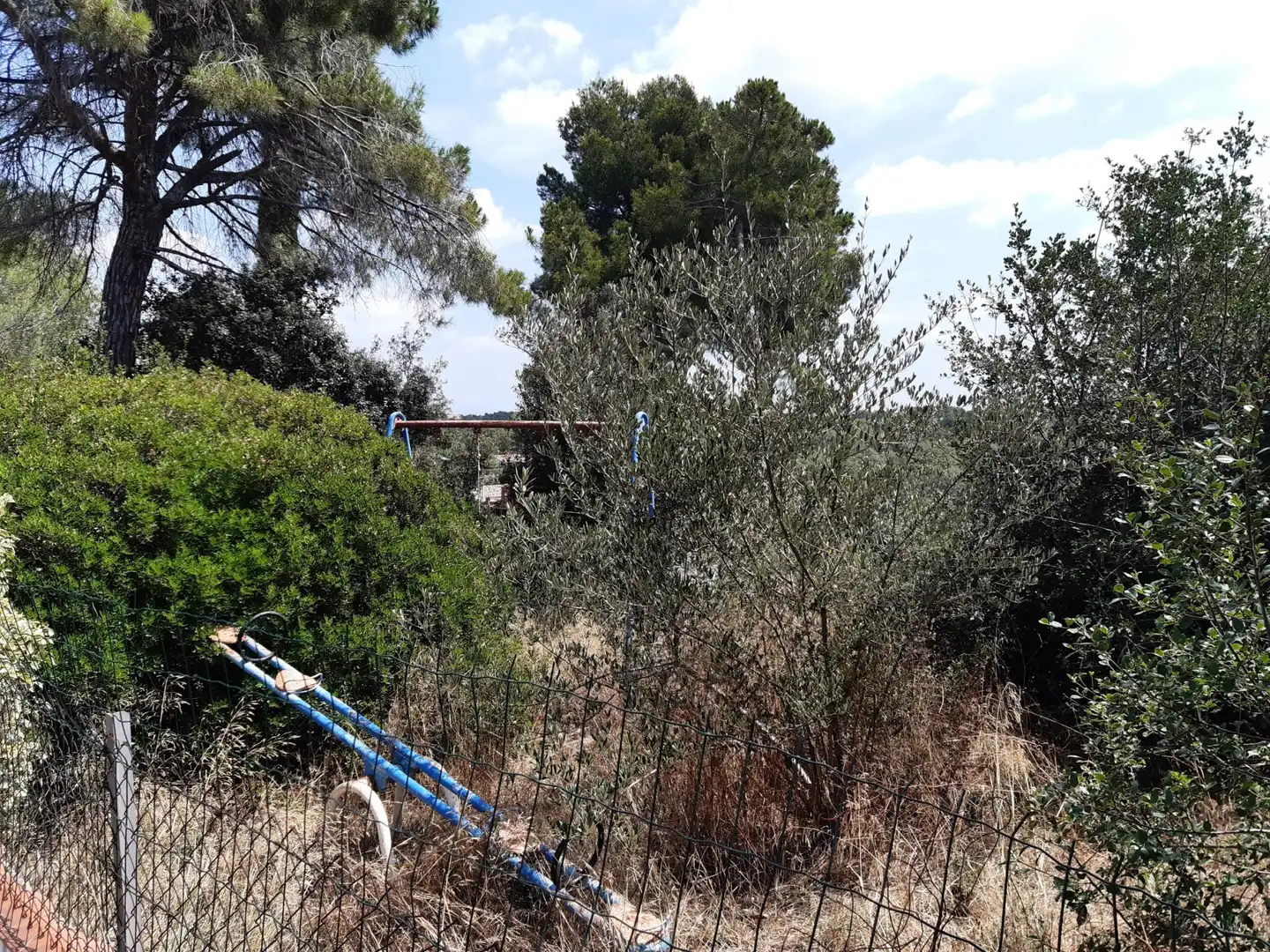 Terrenos y solares en venta en La Serreta, imagen 13