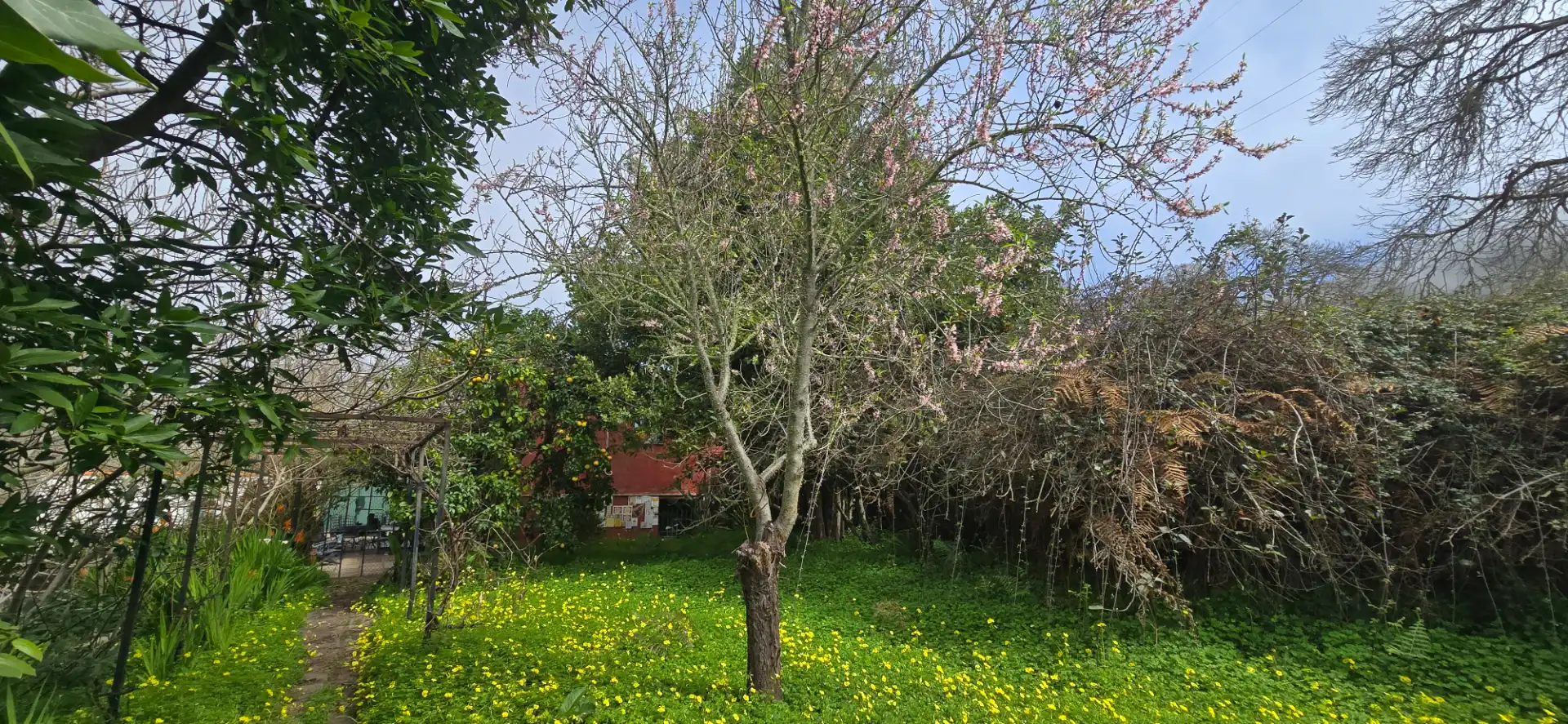 Casa rustica con giardino in vendita a Calle Vereda del Señor 117, imagen 61
