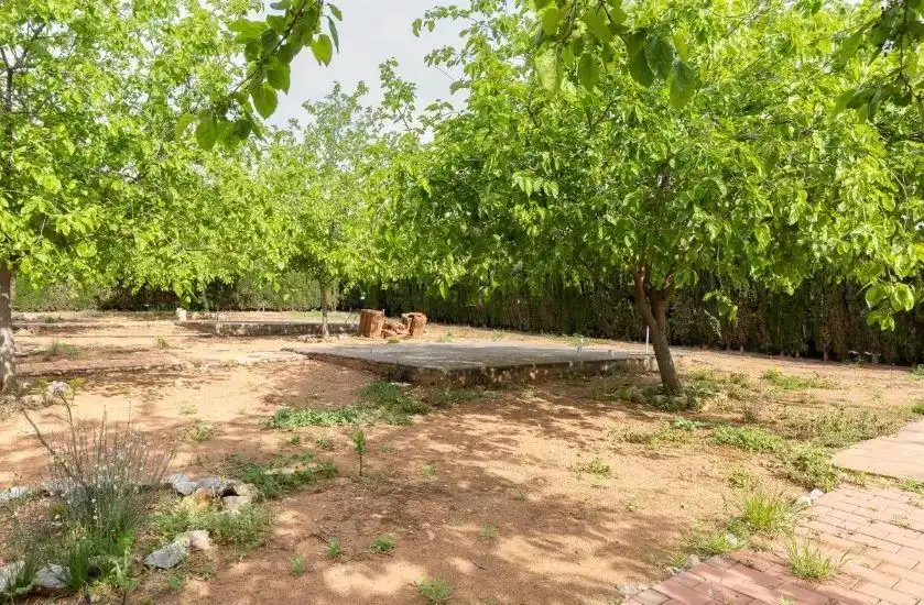Casa rustica in vendita a La Vall d'Uixó, imagen 20