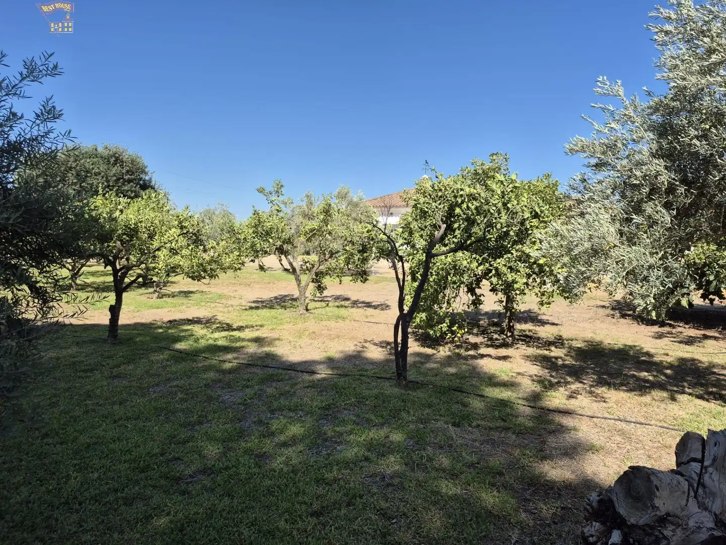 Villa avec piscine à vendre à Arcos de la Frontera, imagen 62