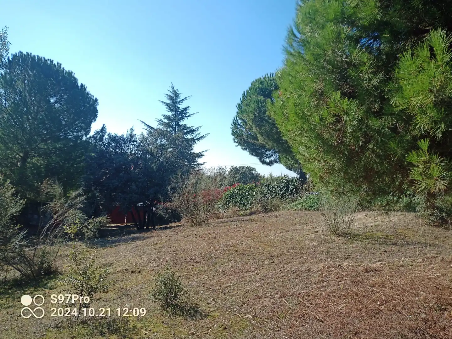 Terreny residencial en venda a Calle Castillo de Torrelobatón, imagen 14