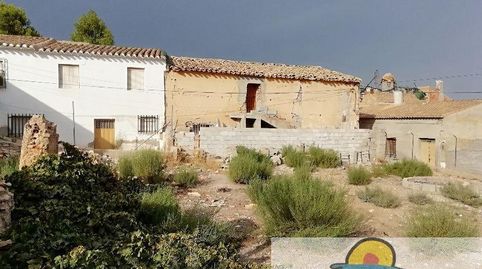 AlboxTerreno, immagine 4