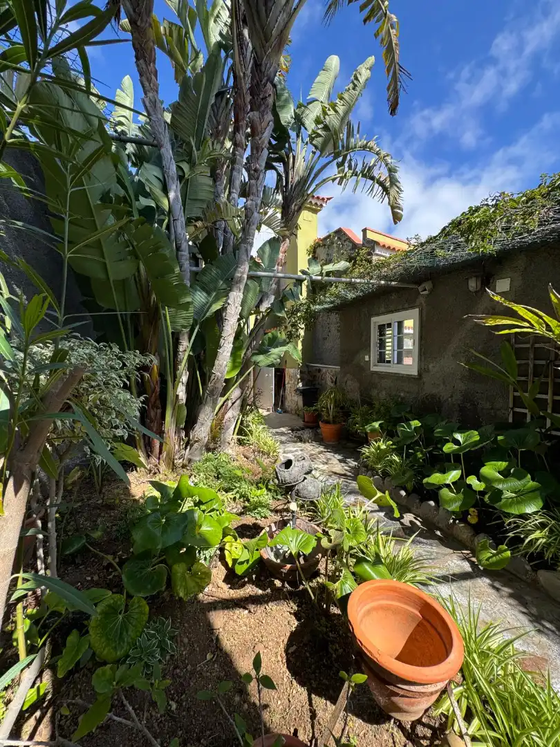 Casa o xalet en venda a Fasnia