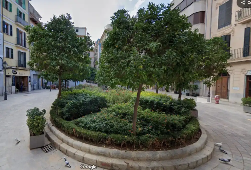 Land for sale in Jaume III