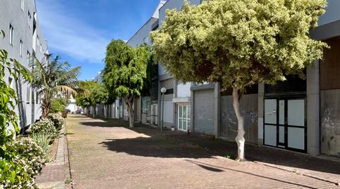 Photo 3 of Premises for rent in Calle Invierno, 113, Almatriche, Las Palmas de Gran Canaria