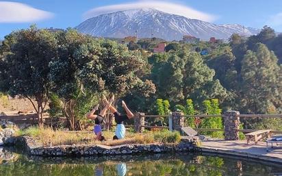 Vista exterior de Casa o xalet en venda en La Guancha amb Jardí privat, Terrassa i Balcó