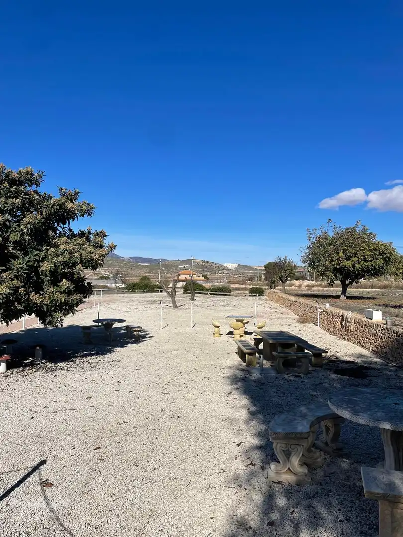 Casa rústica en venta en El Pinós / Pinoso, imagen 47