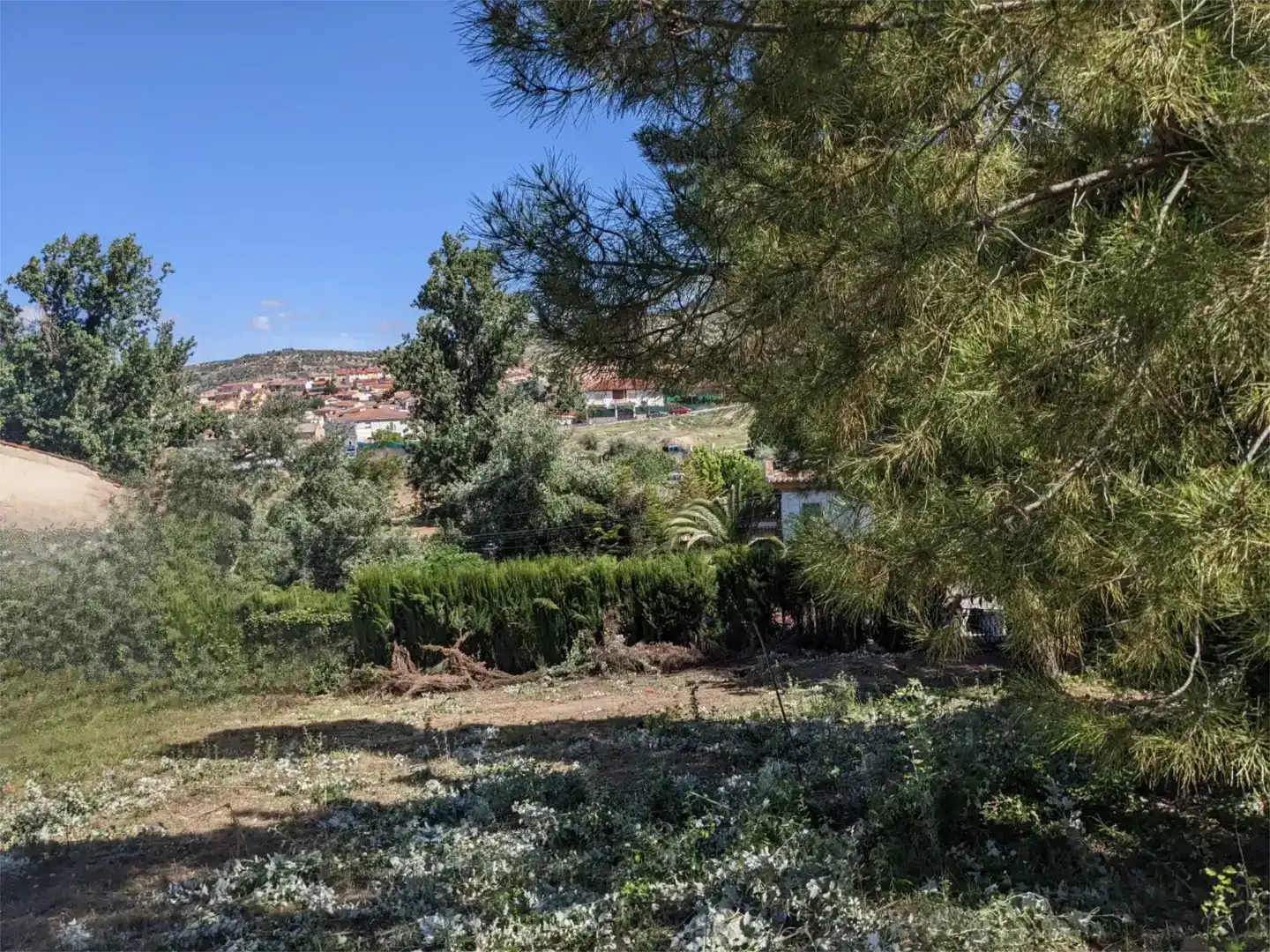 Finca rústica en venta en Alfacar