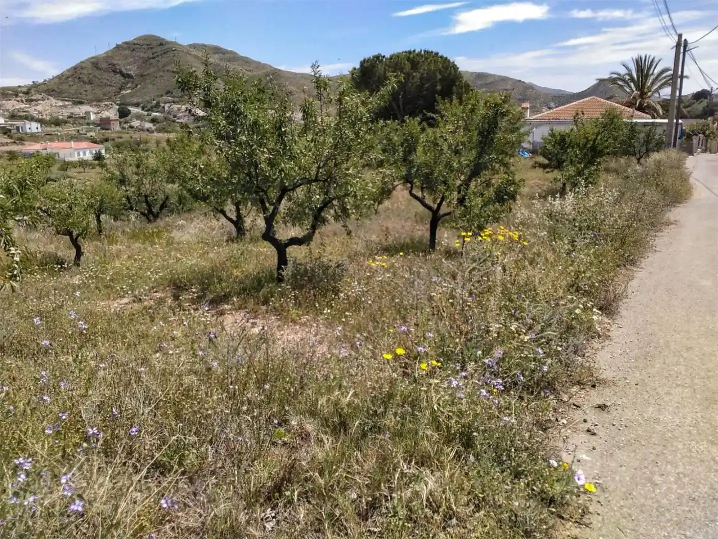 Finca rústica en venda en Lubrín