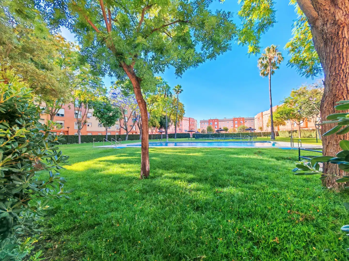 Exterior view of Flat for sale in Jerez de la Frontera  with Storage room and Community pool