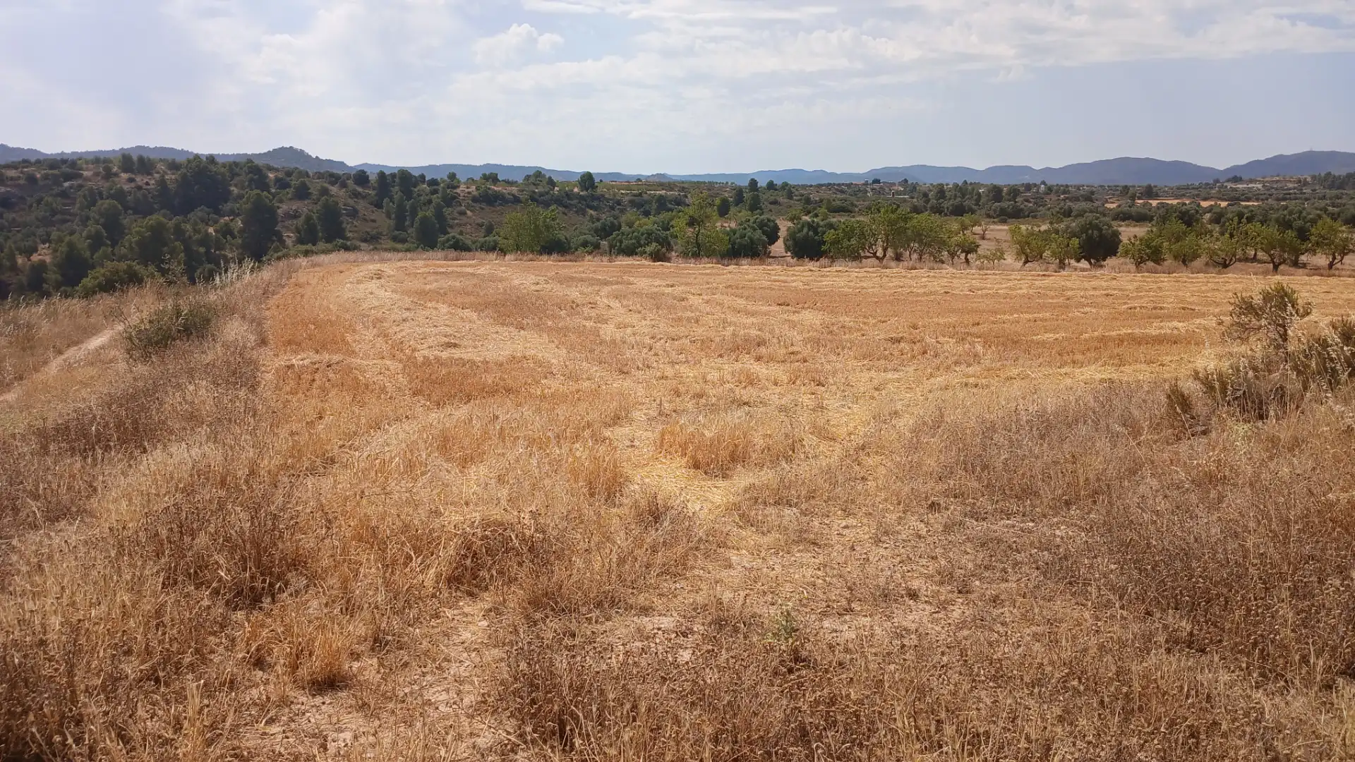 Terreno en venta en Castelserás, Teruel