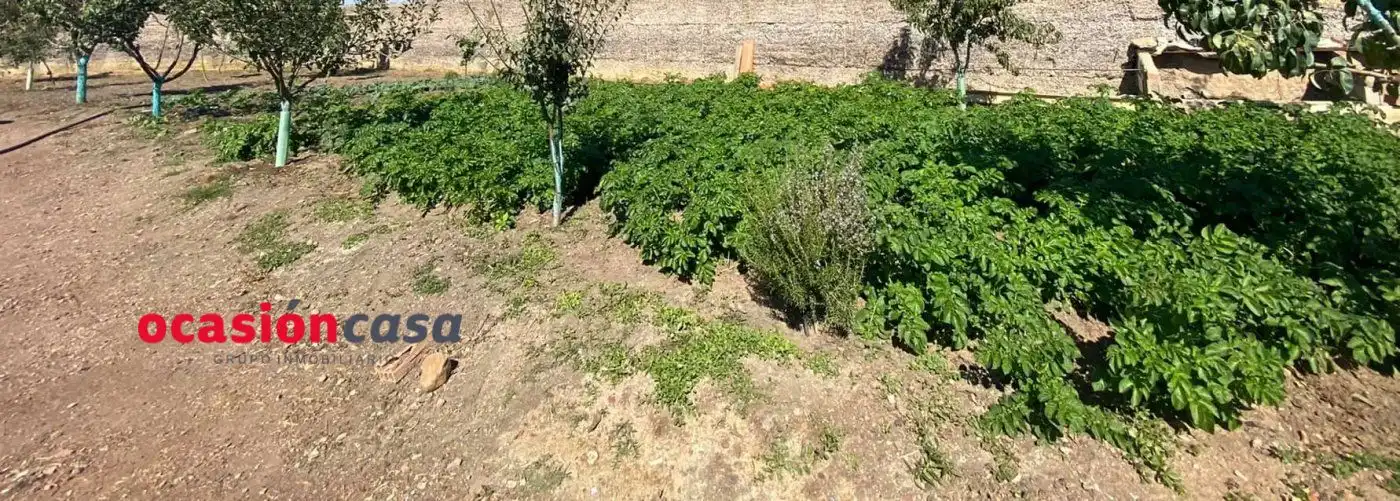 Lands and plots for sale in Belmez, imagen 9