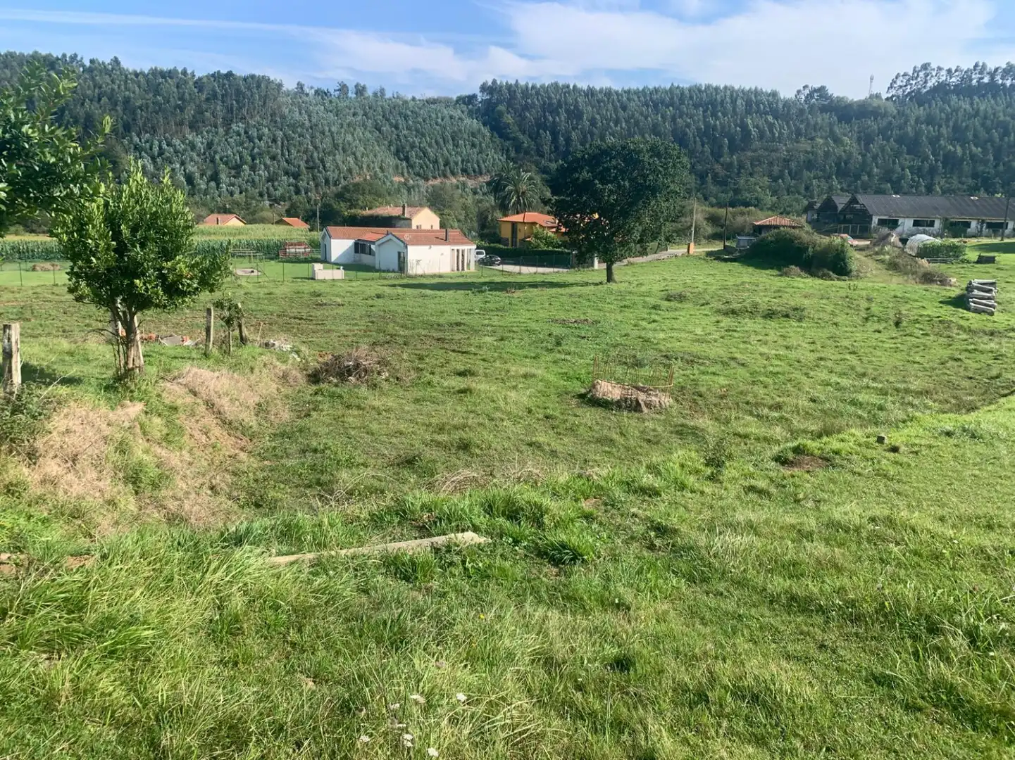 Lands and plots for sale in santiago del monte, imagen 2
