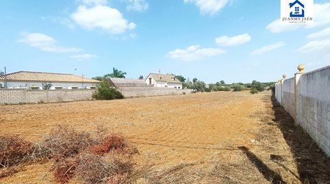 Puerto RealTerreno