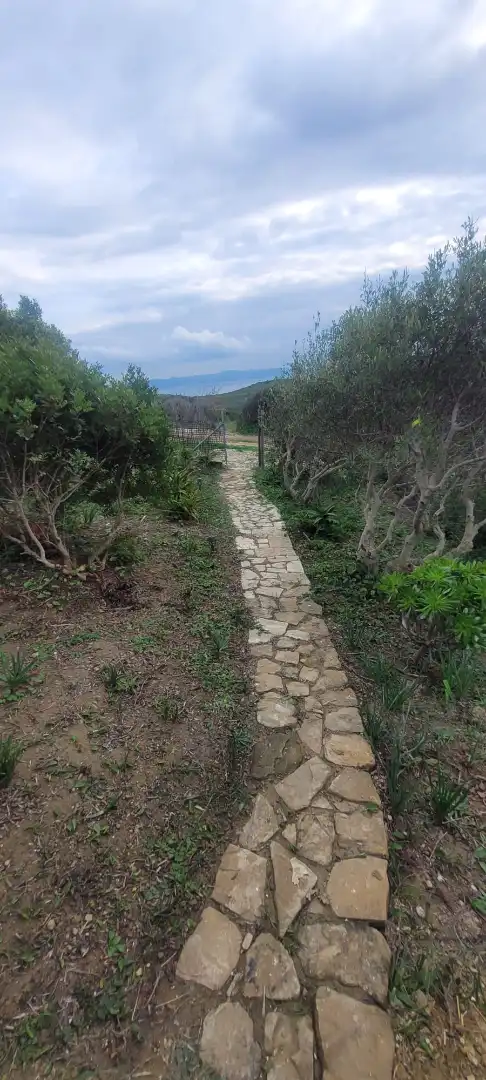 Terreni e lotti in vendita a Cañada de Matatoros 2, imagen 18