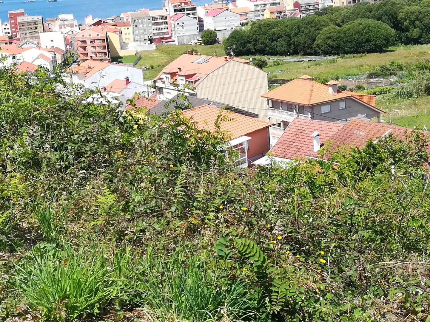 Terreno residencial en venta en Bueu, imagen 8