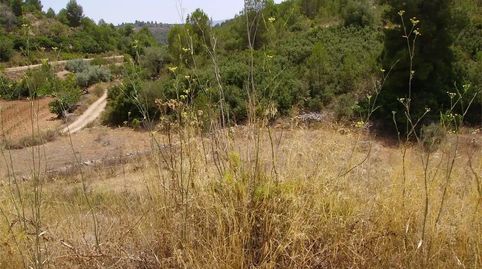 Foto 4 de Casa o chalet en venta en Cv-159, Useras / Les Useres, Castellón